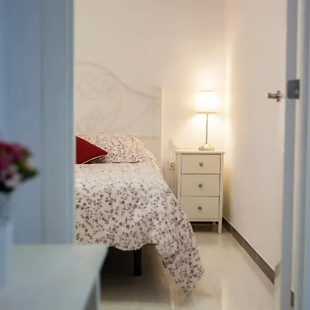 Apartment Renovated Ground In The Center. Wifi