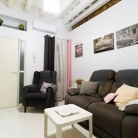 Apartment Renovated Ground In The Center. Wifi *